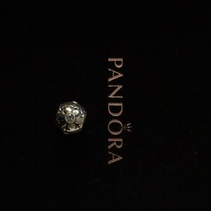 Pandora snowflake charm.